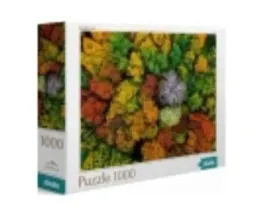 puzzle-1000-dzembronya-village-ukraine