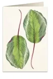 karnet-b6-koperta-6016-kalatea-stan-nowy