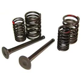 komplet-zaworow-64mm-i-sprezyn-gy6-50cc-4t-agility-gy6020015d