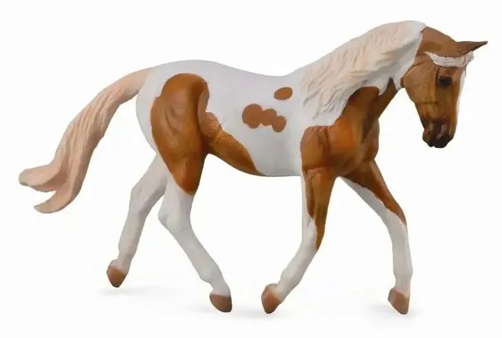 kon-pinto-mare-palomino-stan-nowy