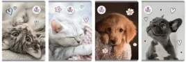zeszyt-a5-60k-linia-the-sweet-pets-5szt