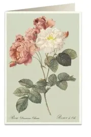 karnet-b6-koperta-6066-kolorowe-roze