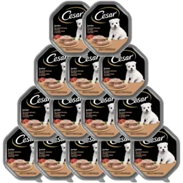 cesar-junior-mokra-karma-dla-psa-indyk-i-cielecina-14x-150g