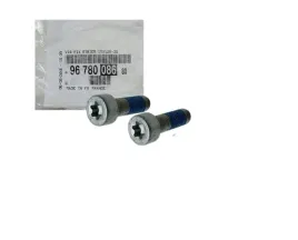 2x-sruba-jarzma-zacisku-peugeot-citroen-9678008680