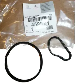 uszczelka-pompy-vacum-komplet-berlingo-c2-p206-1-6hdi-459941