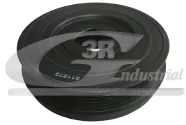 kolo-pasowe-walu-2-3dci-master-iii-zam-3rg-8200805671-zam
