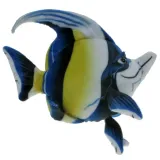 ryba-morska-skalar-35cm-bohater-brak