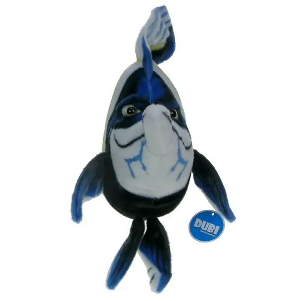 ryba-morska-skalar-35cm-plec-chlopcy-dziewczynki