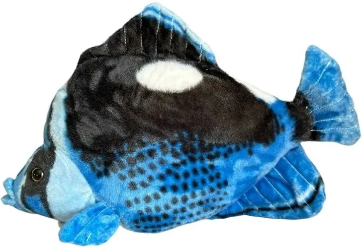 ryba-hepatus-niebieska-41cm-stan-nowy