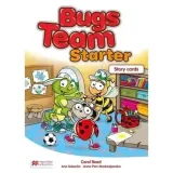 bugs-team-starter-storycards