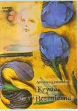 krysia-bezimienna-audiobook-stan-nowy