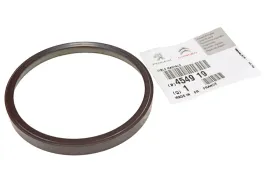 pierscien-magnetyczny-abs-citroen-peugeot-renault-tyl-tylny
