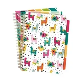 project-book-colour-wash-b5-100k-linia-mix-3szt