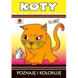 koty-to-lubie