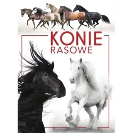 konie-rasowe