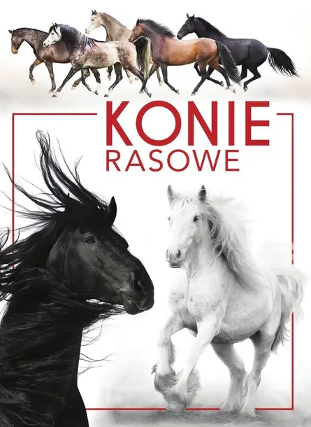 konie-rasowe-stan-nowy