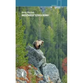 niedzwiedz-szuka-domu