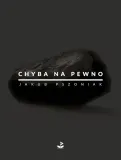 chyba-na-pewno-w-2024-stan-nowy