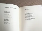 chyba-na-pewno-w-2024-szerokosc-produktu-16-cm