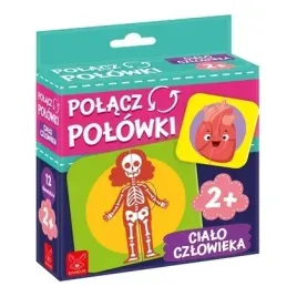 polacz-polowki-cialo-czlowieka