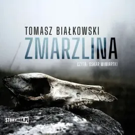 cd-mp3-zmarzlina