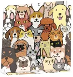 diamond-dotz-box-dogzanddotz-plec-chlopcy-dziewczynki