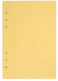 wklad-do-organizera-a5-czysta-zolta-antra