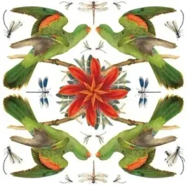 karnet-kwadrat-z-koperta-red-winged-parrot