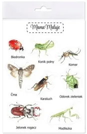 naklejki-duze-owady-1