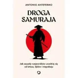 droga-samuraja-otwarte
