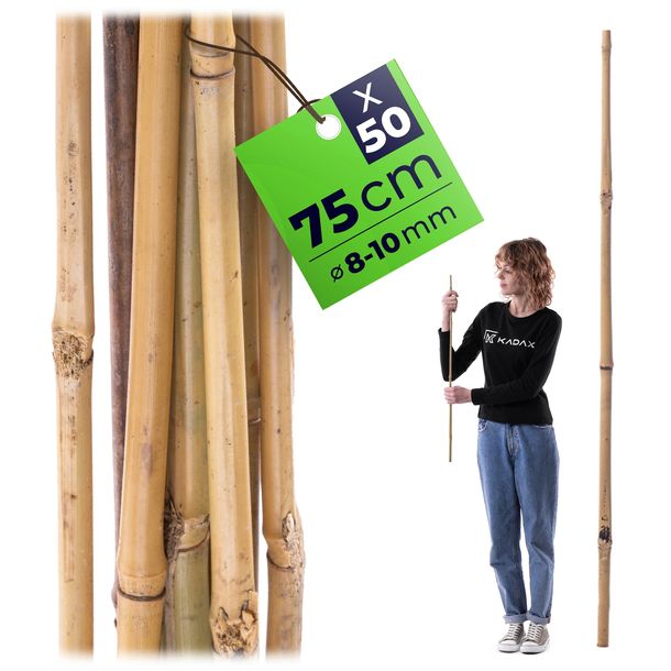 50 SZT. TYCZKI BAMBUSOWE 75 cm PODPORA DO POMIDORÓW ROŚLIN PALIK 8/10 mm