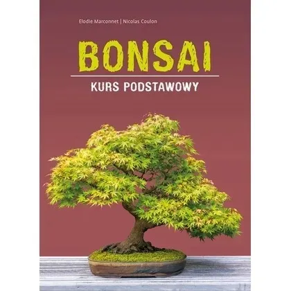 bonsai-kurs-podstawowy-multico