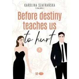 before-destiny-teaches-us-to-hurt-t-1-cz-2-editio