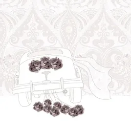 karnet-swarovski-kwadrat-cl0115-slub-samochod-clear-creations