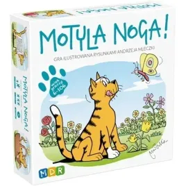 gra-motyla-noga-paperblanks