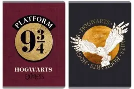 zeszyt-a5-60k-linia-harry-potter-5szt-beniamin
