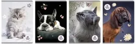 zeszyt-a5-80k-kratka-the-sweet-pets-5szt-beniamin