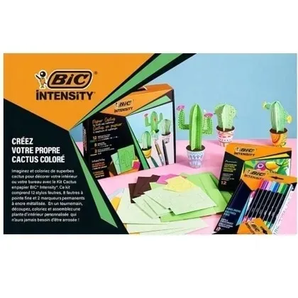 zestaw-intensity-paper-cactus-bic-bic