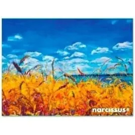 teczka-kopertowa-pp-a7-niebo-narcissus