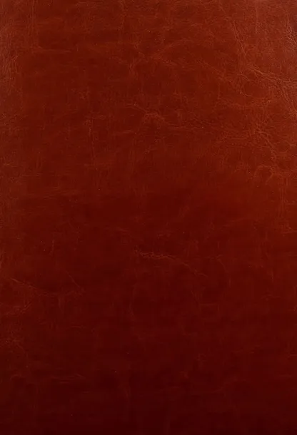 notes-b5-linia-impresja-braz-antra-antra-okladka-miekka