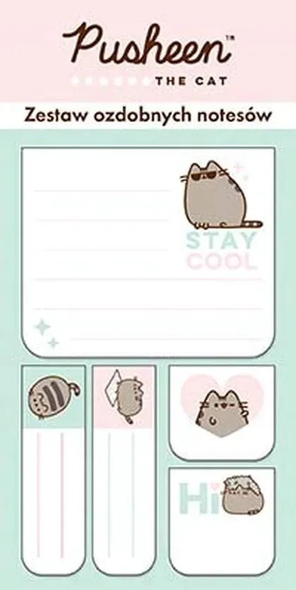 zestaw-5-notesow-ozdobnych-pusheen-st-majewski