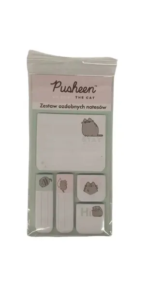 zestaw-5-notesow-ozdobnych-pusheen-st-majewski-rodzaj-notes