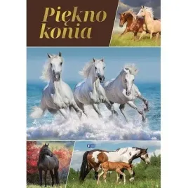piekno-konia-fenix