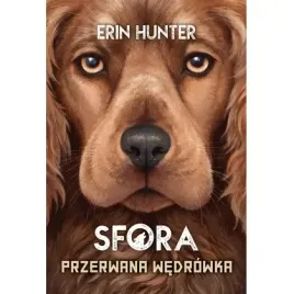 sfora-t-4-przerwana-wedrowka-nowa-basn