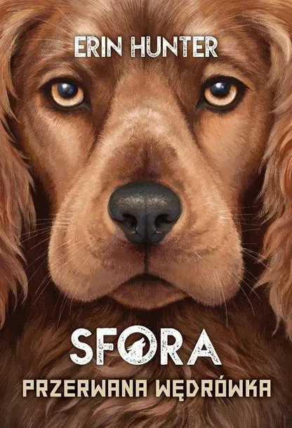 sfora-t-4-przerwana-wedrowka-nowa-basn-wydawnictwo-nowa-basn