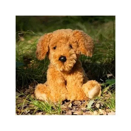 pies-cockapoo-one-for-fun