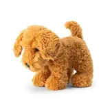pies-cockapoo-one-for-fun-stan-nowy