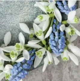 serwetka-lunch-snowdrops-and-grape-hyacinths-wreath-on-concrete-sdwi006401