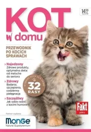 kot-w-domu-ringier-axel-springer-polska