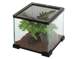 terrarium-szklane-20x20x20cm-repti-planet